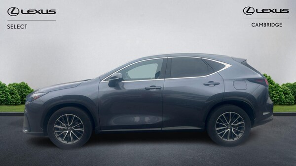 Used Lexus NX 2023 for sale - 76179448: Photo 4