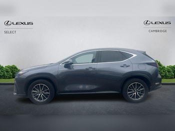 Used Lexus NX 2023 for sale - 76179448: Photo 4
