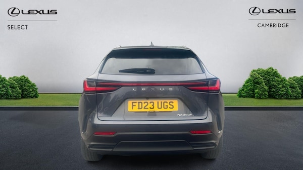 Used Lexus NX 2023 for sale - 76179448: Photo 9