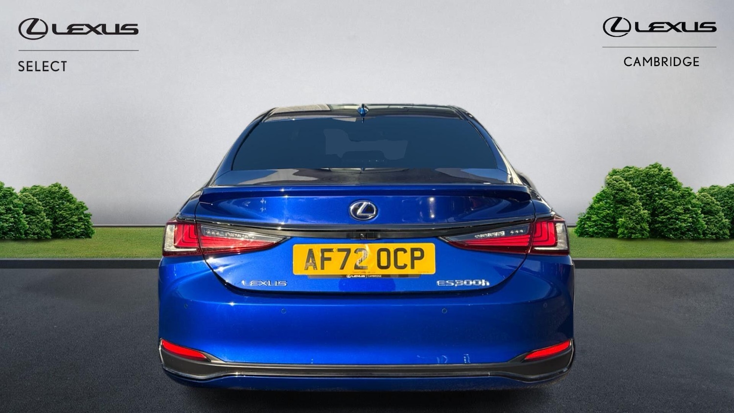 Used Lexus ES 2022 for sale - 76765581: Photo 8