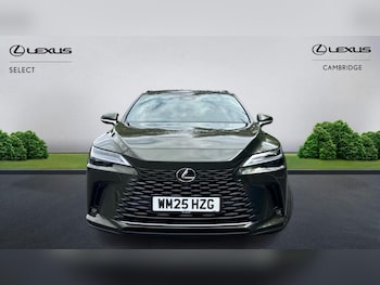 Used Lexus RX 2025 for sale - 79496774: Photo