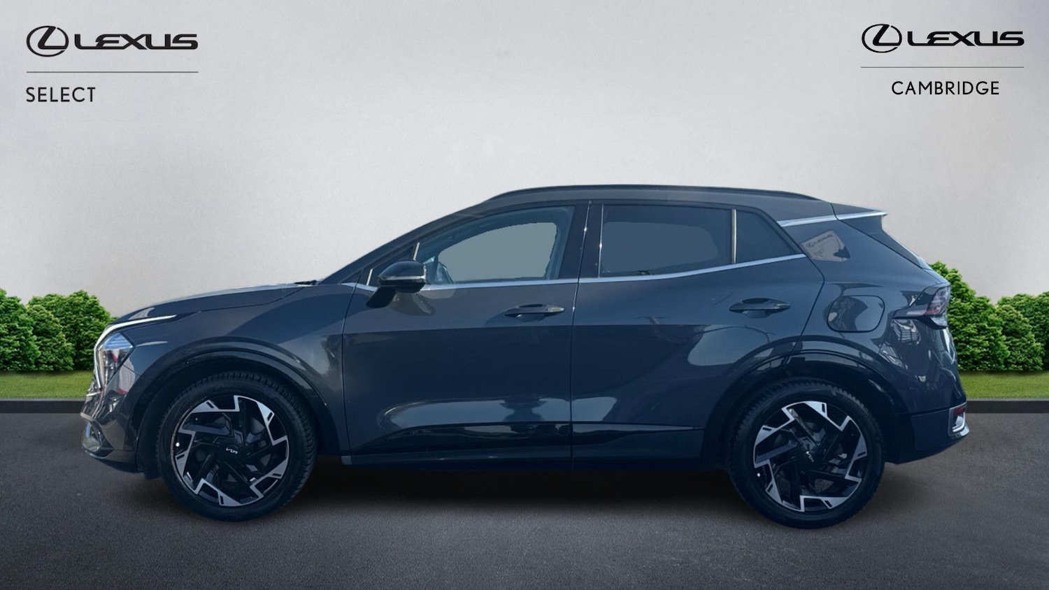 Used Kia Sportage for sale - 78170976: Photo 5