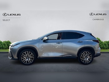 Used Lexus NX 2025 for sale - 79553761: Photo