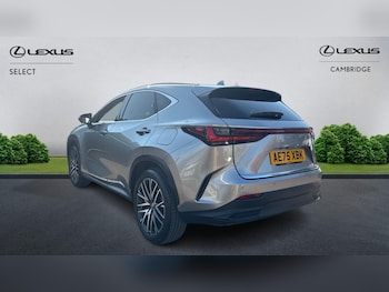 Used Lexus NX 2025 for sale - 79553761: Photo