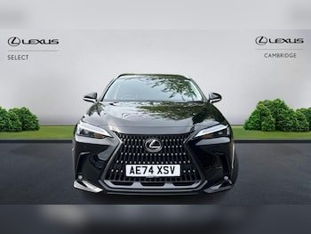 Used Lexus NX 2024 for sale - 78969379: Photo