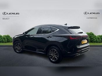 Used Lexus NX 2024 for sale - 78969379: Photo