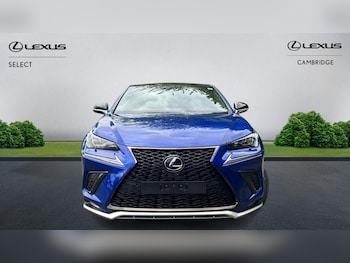Used Lexus NX 2019 for sale - 79316806: Photo