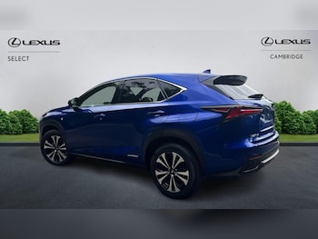 Used Lexus NX 2019 for sale - 79316806: Photo