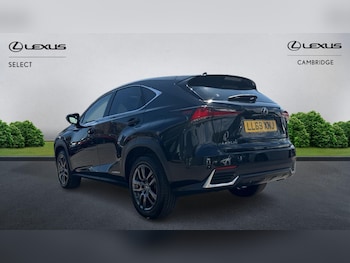 Used Lexus NX 2019 for sale - 75257645: Photo