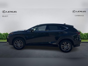 Used Lexus NX 2019 for sale - 75257645: Photo