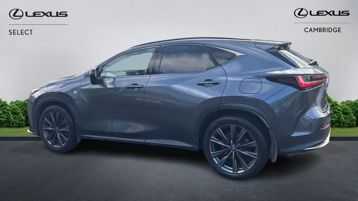 Used Lexus NX 2022 for sale - 76269594: Photo 3