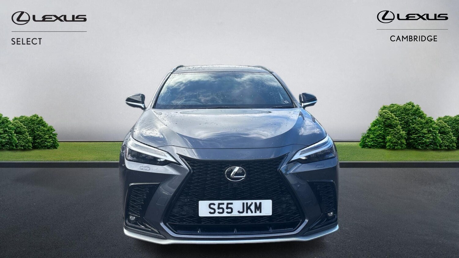 Used Lexus NX 2022 for sale - 76269594: Photo 7