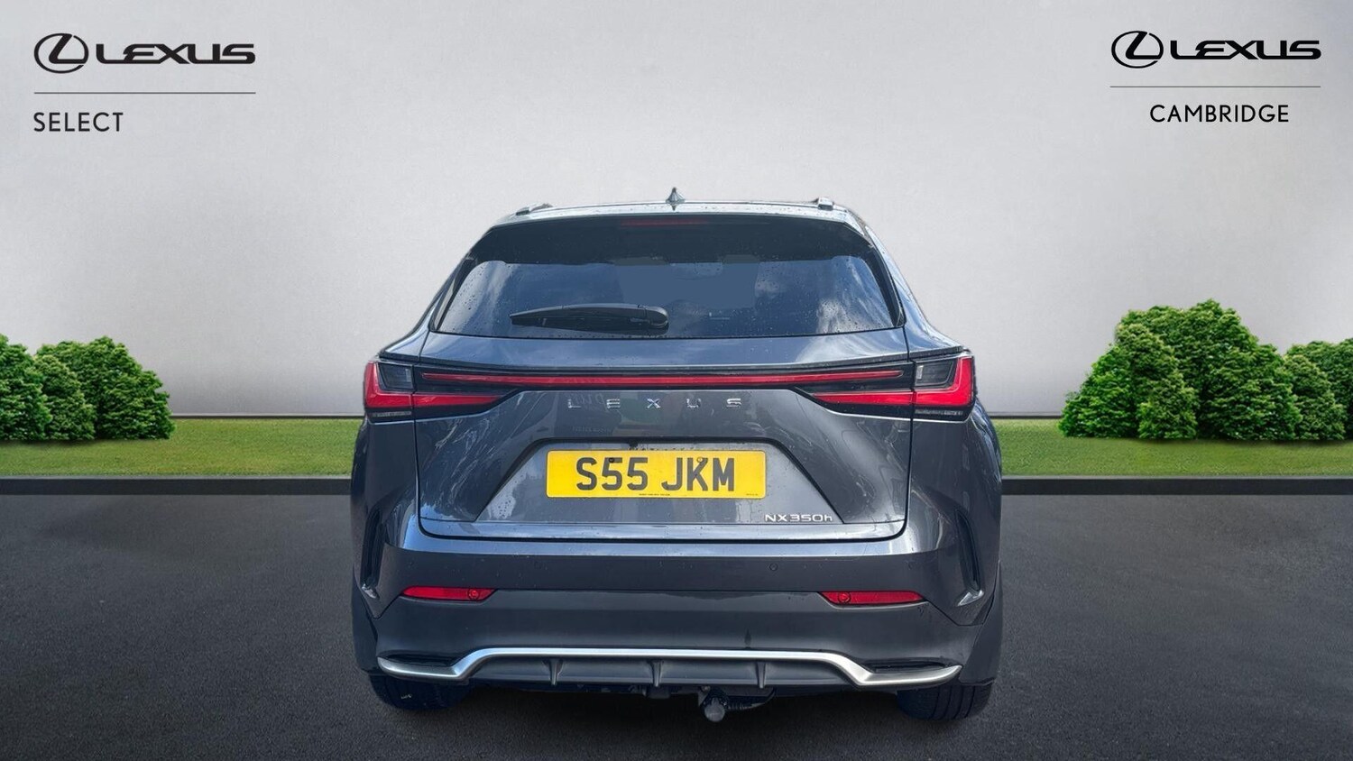 Used Lexus NX 2022 for sale - 76269594: Photo 8