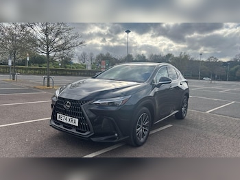 Used Lexus NX 2024 for sale - 78842303: Photo