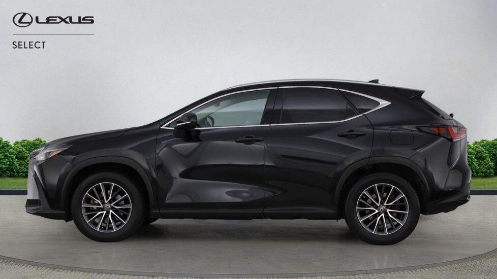 Used Lexus NX 2023 for sale - 77882981: Photo 3