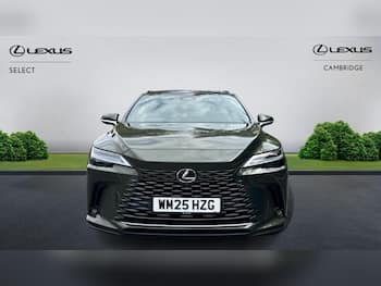 Used Lexus RX 2025 for sale - 79767203: Photo