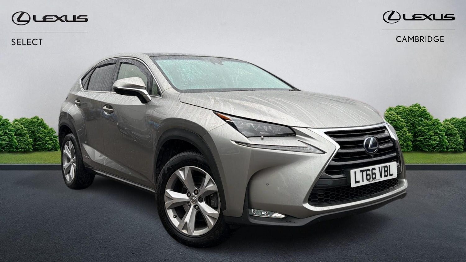 Used Lexus NX 2016 for sale - 76326676: Photo 1