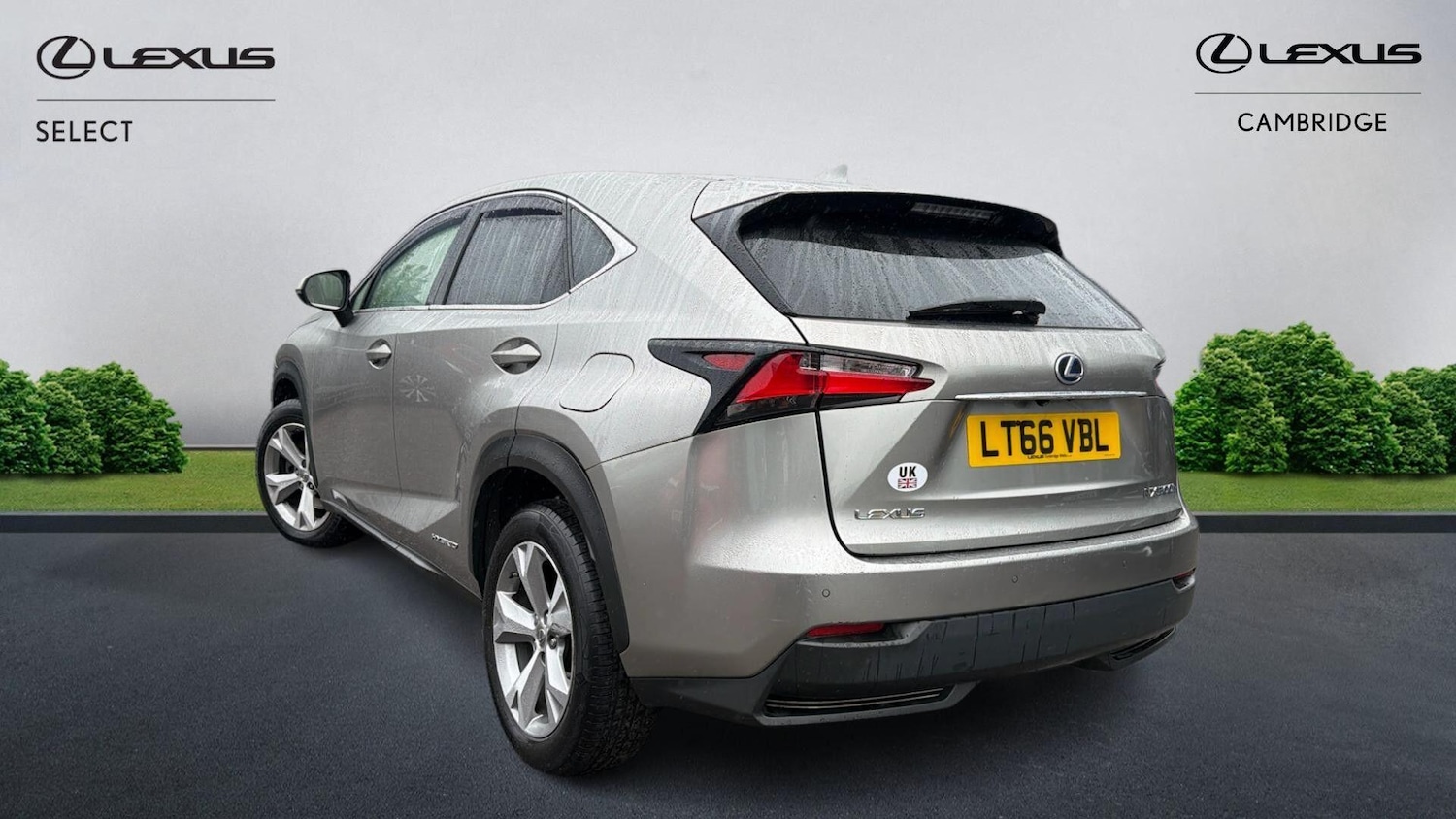 Used Lexus NX 2016 for sale - 76326676: Photo 2