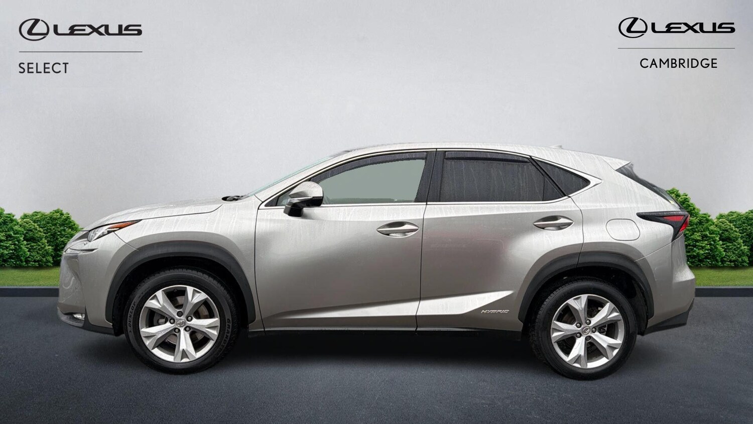 Used Lexus NX 2016 for sale - 76326676: Photo 3