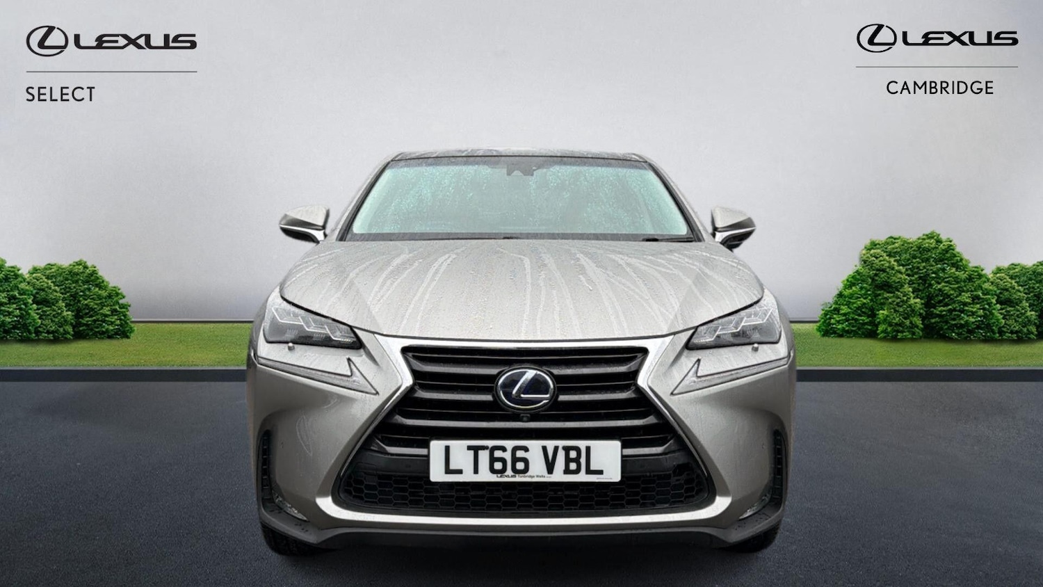Used Lexus NX 2016 for sale - 76326676: Photo 7