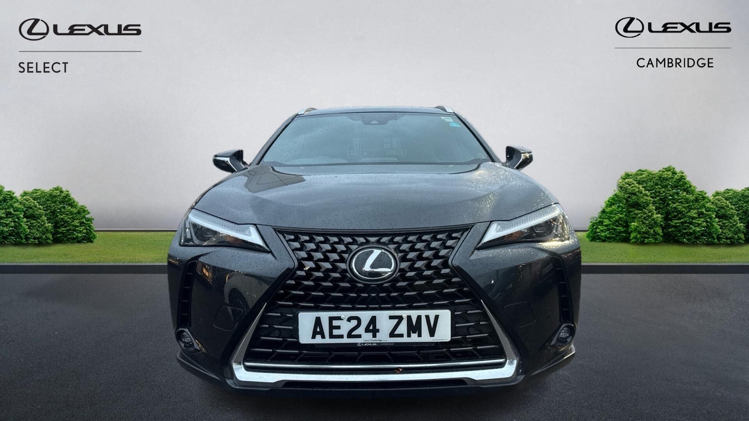 Used Lexus UX 2024 for sale - 77091344: Photo 2