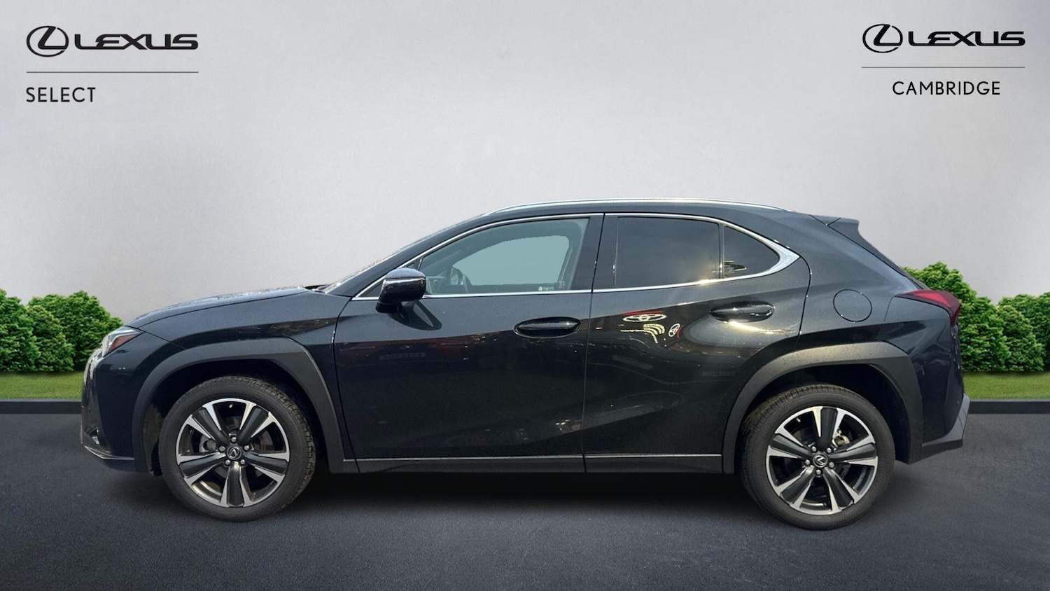 Used Lexus UX 2024 for sale - 77091344: Photo 4