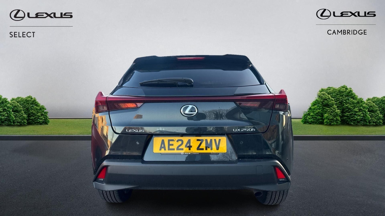 Used Lexus UX 2024 for sale - 77091344: Photo 8