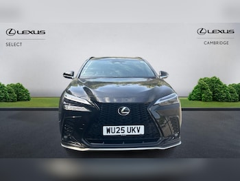 Used Lexus NX 2025 for sale - 79533019: Photo