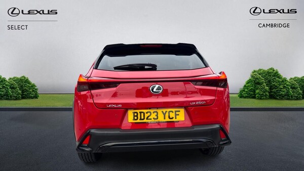 Used Lexus UX 2023 for sale - 76083711: Photo 8