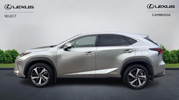 Used Lexus NX 2021 for sale - 76251014: Photo 4
