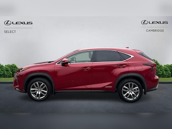 Used Lexus NX 2019 for sale - 75622978: Photo