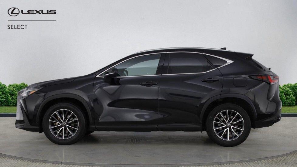 Used Lexus NX for sale - 77853382: Photo 3