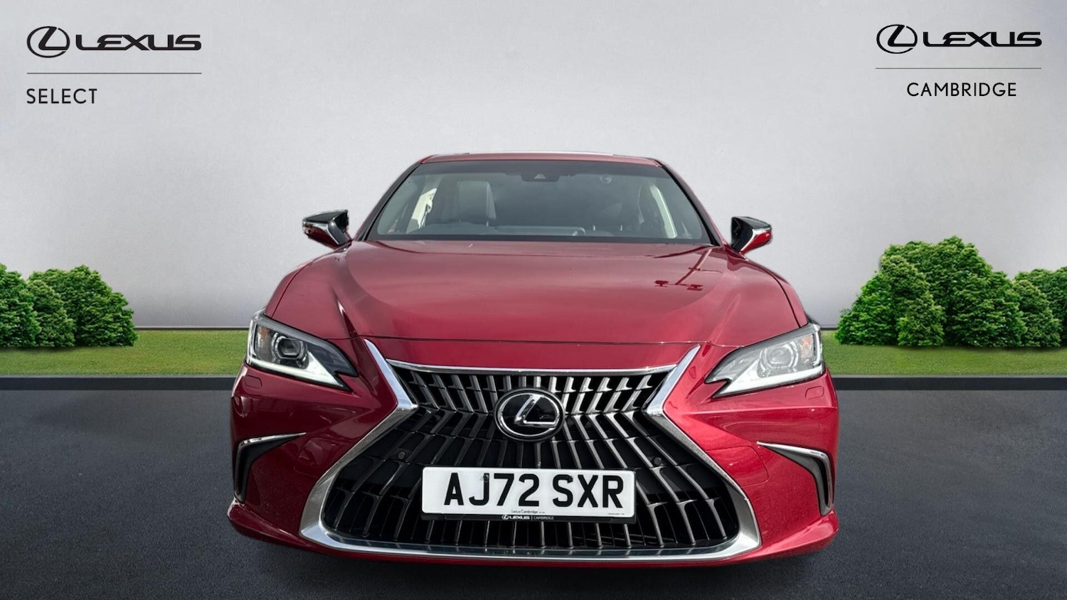 Used Lexus ES 2022 for sale - 77709827: Photo 2