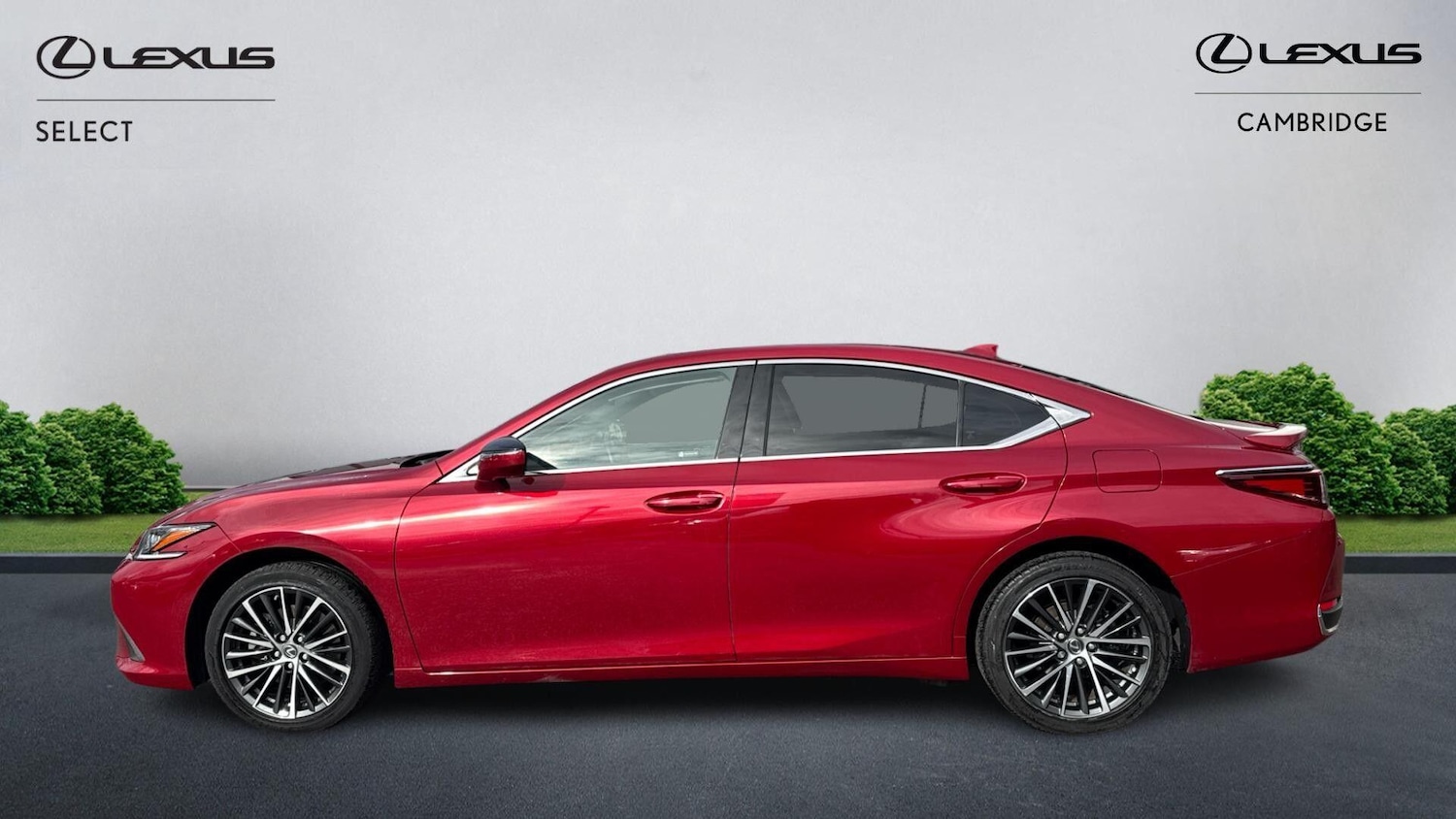 Used Lexus ES 2022 for sale - 77709827: Photo 5