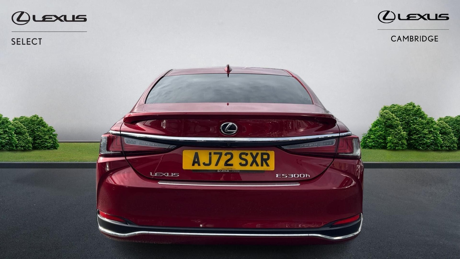 Used Lexus ES 2022 for sale - 77709827: Photo 6