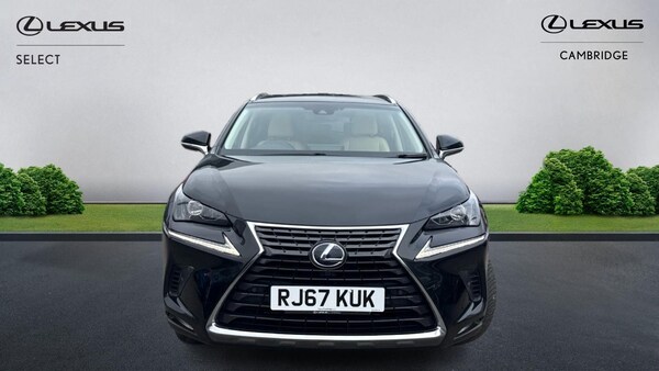 Used Lexus NX 2018 for sale - 76072452: Photo 2