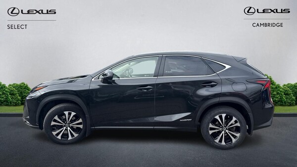 Used Lexus NX 2018 for sale - 76072452: Photo 4