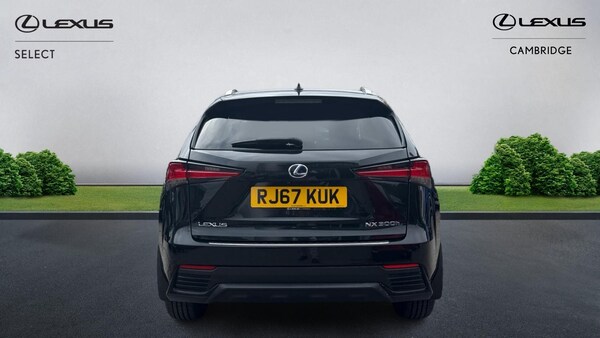 Used Lexus NX 2018 for sale - 76072452: Photo 8