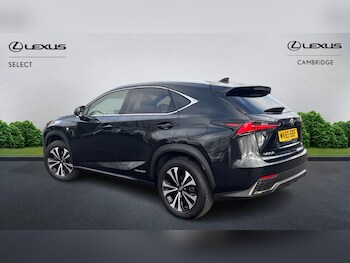 Used Lexus NX 2019 for sale - 77509689: Photo