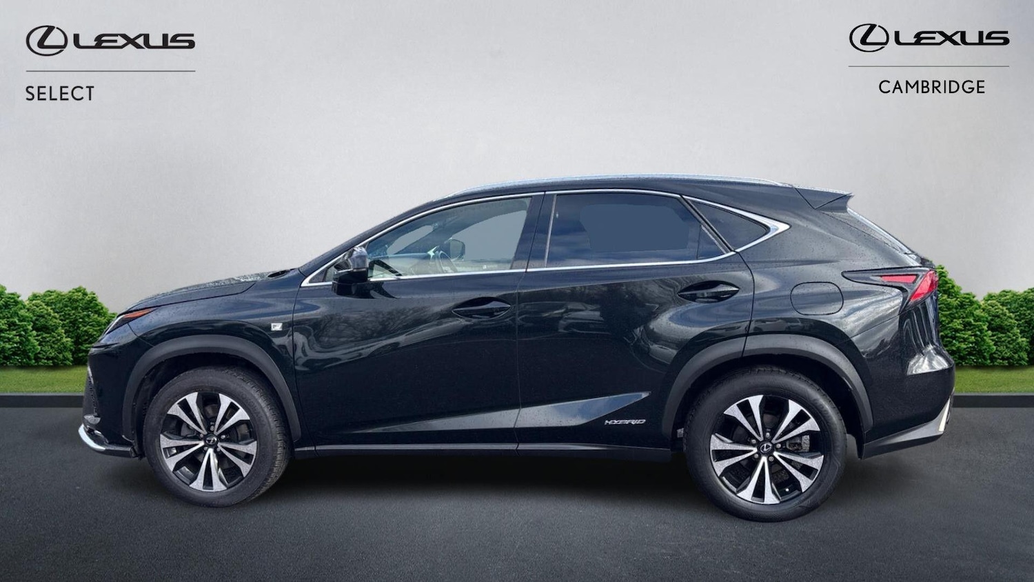 Used Lexus NX 2019 for sale - 77509689: Photo 3