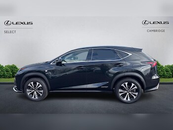 Used Lexus NX 2019 for sale - 77509689: Photo