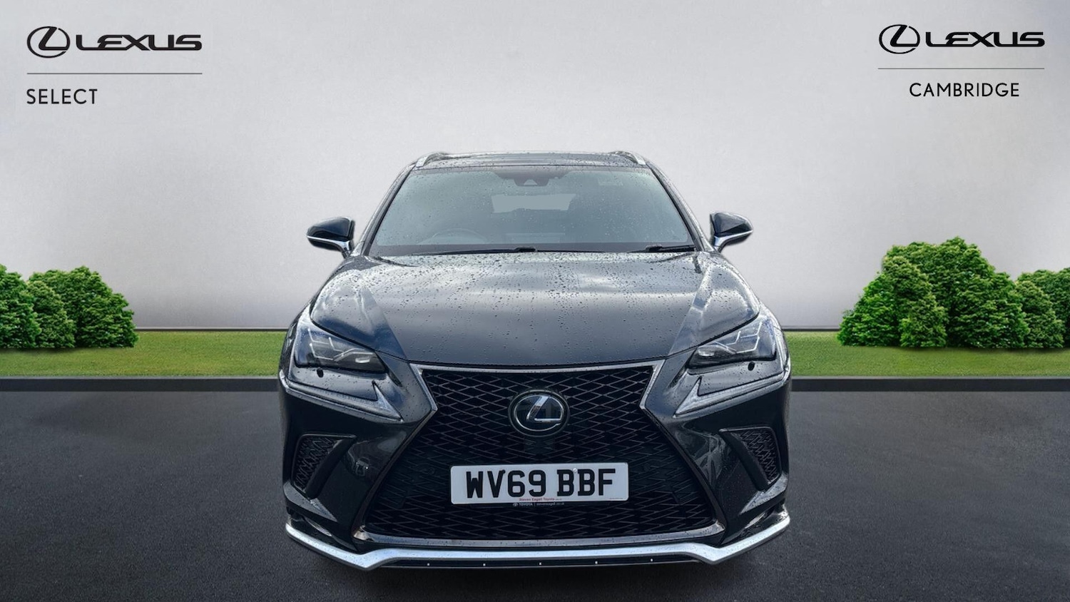 Used Lexus NX 2019 for sale - 77509689: Photo 7