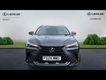 Used Lexus NX 2024 for sale - 74713037: Photo