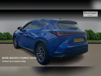 Used Lexus NX 2023 for sale - 79830853: Photo