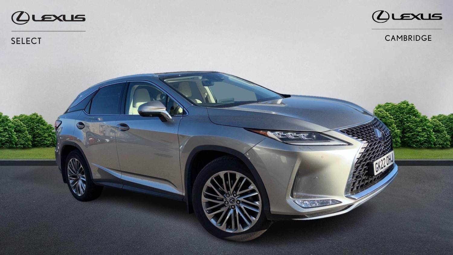 Used Lexus RX 2022 for sale - 76031846: Photo 1