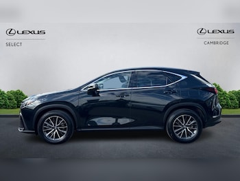 Used Lexus NX 2024 for sale - 78561410: Photo