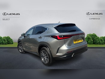 Used Lexus NX 2024 for sale - 79012274: Photo