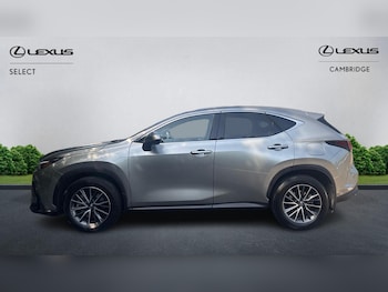 Used Lexus NX 2024 for sale - 79012274: Photo