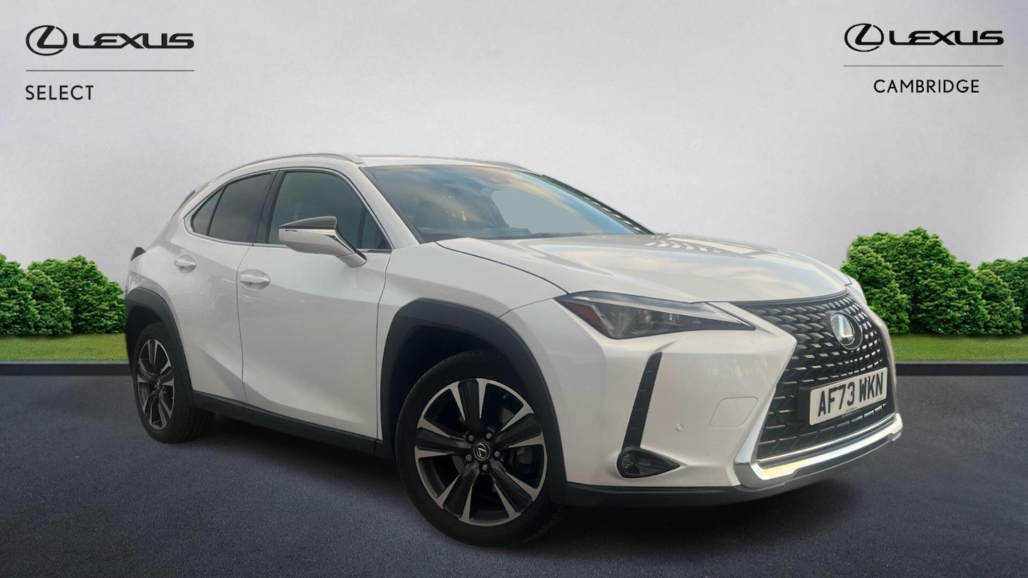Used Lexus UX 2023 for sale - 76561671: Photo 1