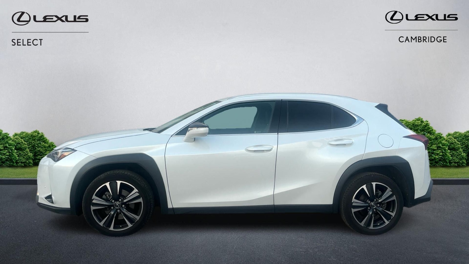 Used Lexus UX 2023 for sale - 76561671: Photo 3
